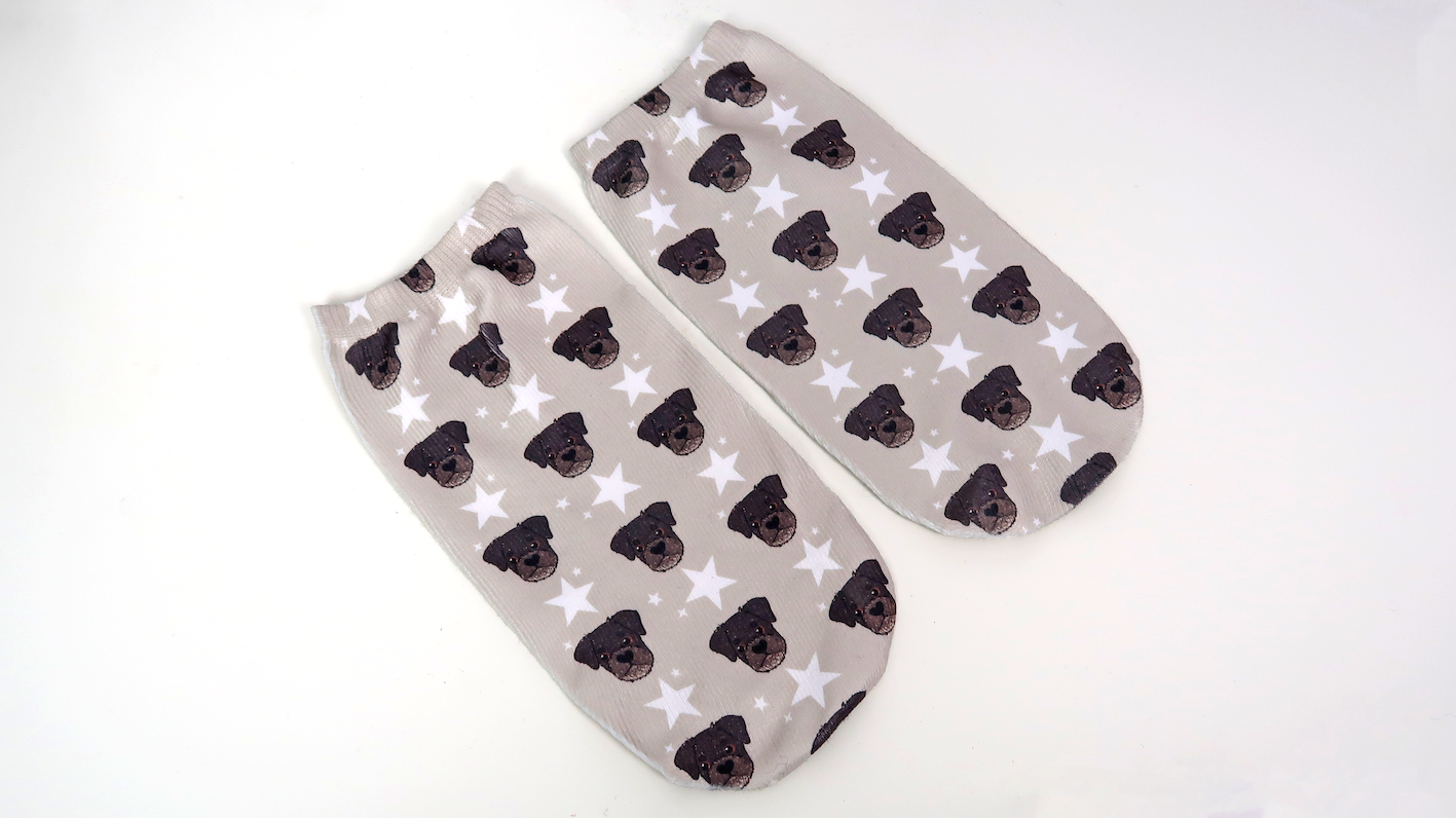 Personalised Illustrated Pet Socks