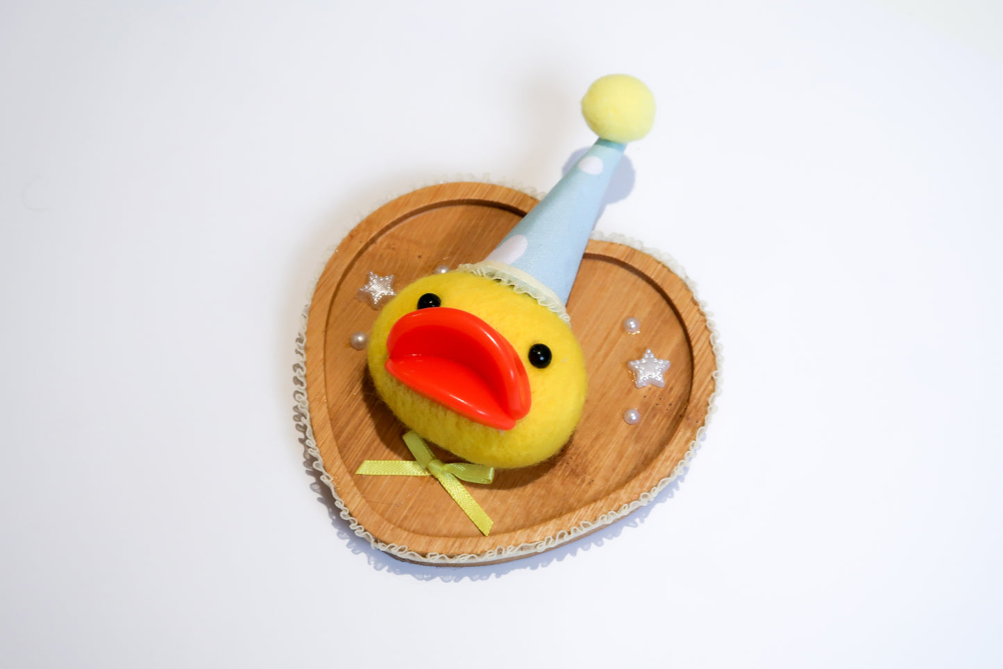 Handmade Duck Needle Felted Animal Wall Art