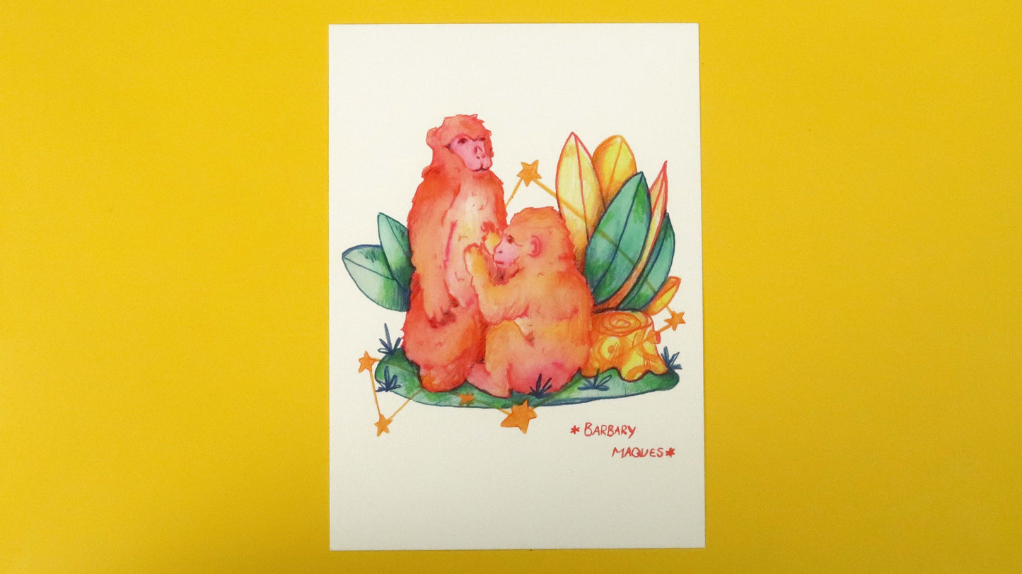 Monkey Baby & Mother Postcard Print