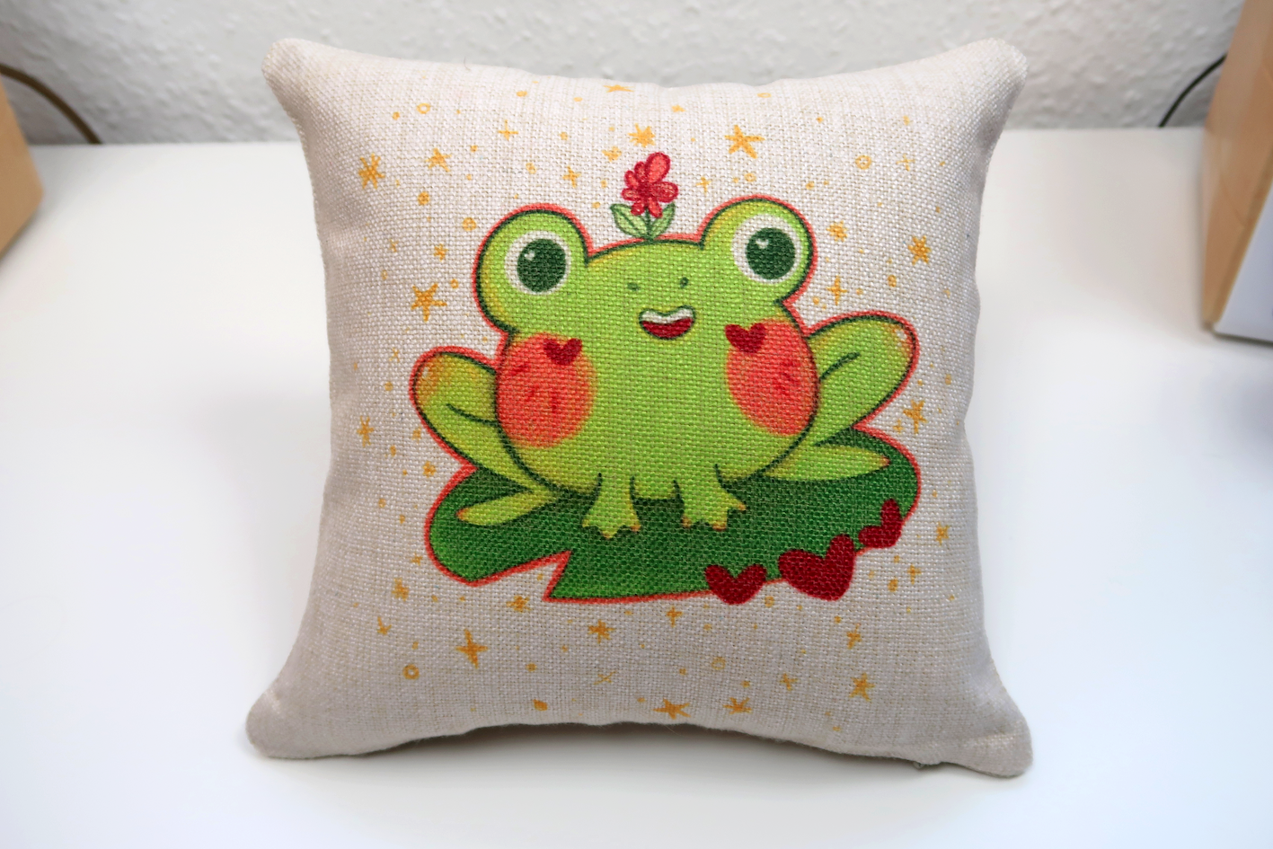Frog Cushion