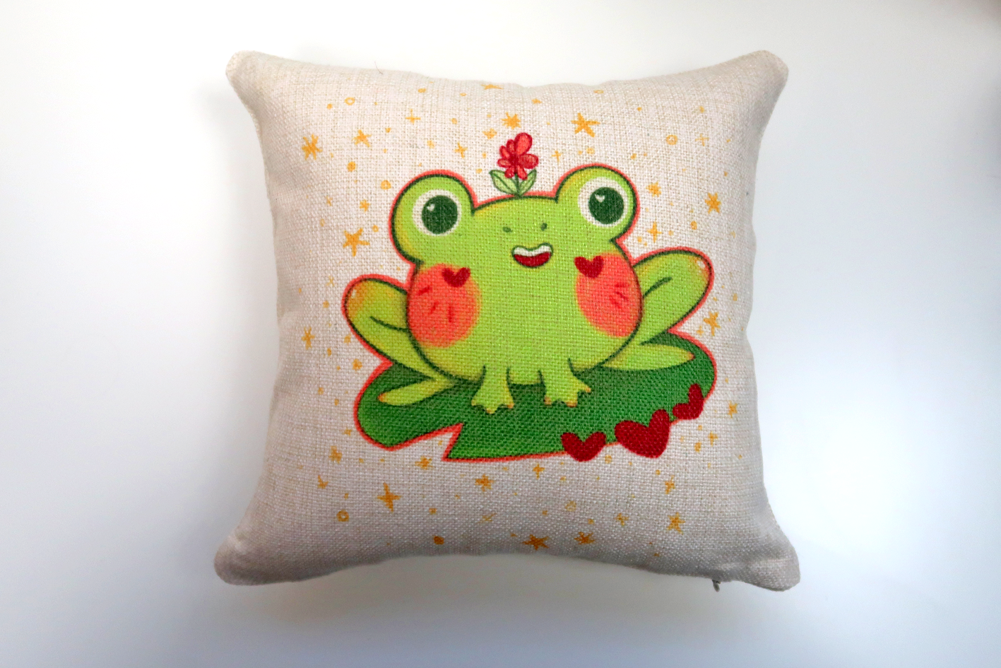 Frog Cushion