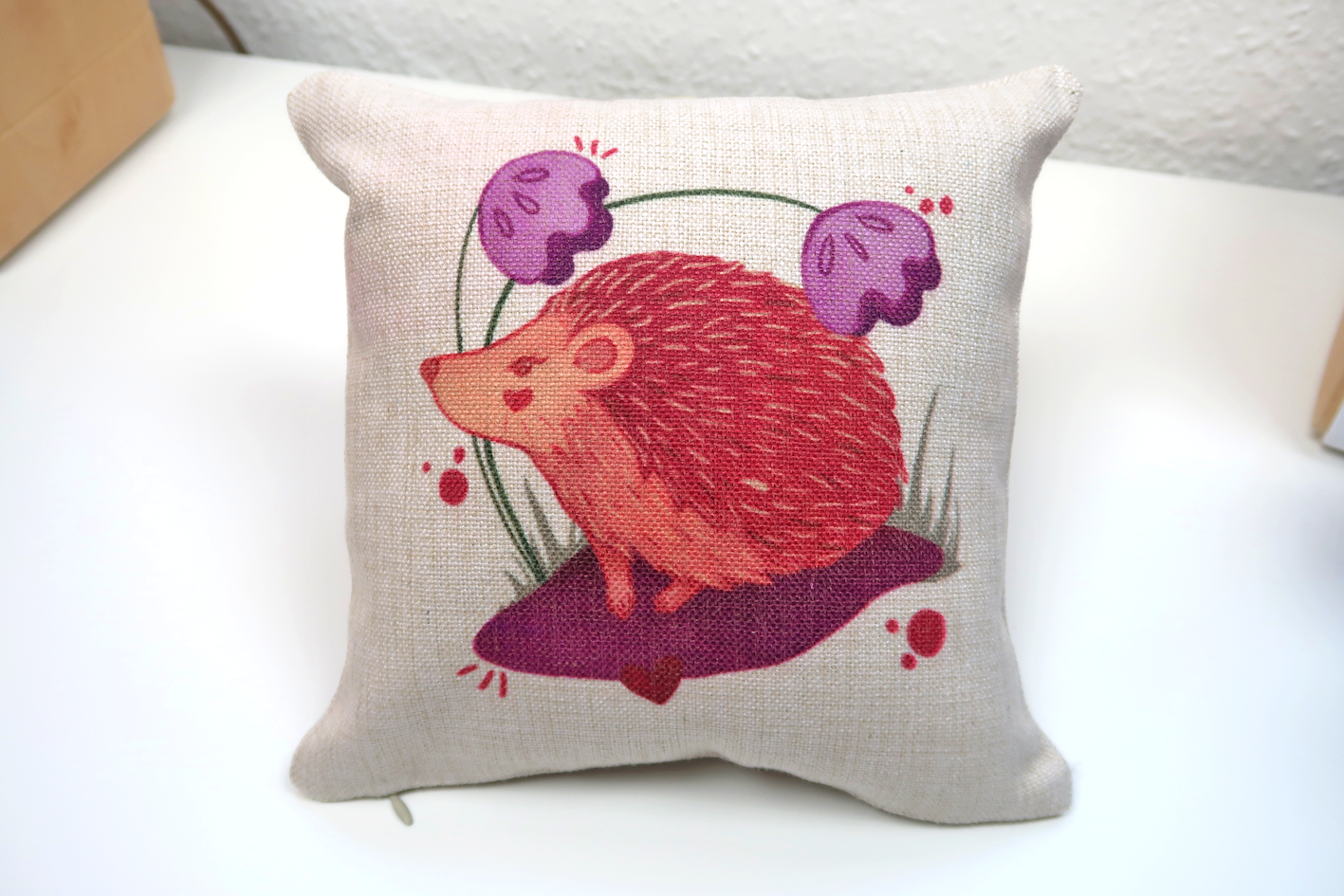 Hedgehog Cushion