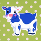 Cow Sticker